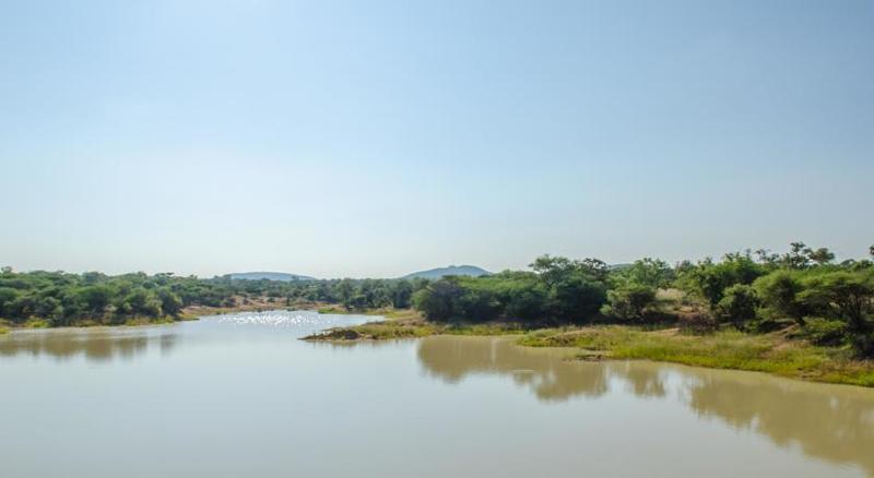 Mziki Safari Lodge Beestekraal  Ngoại thất bức ảnh